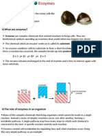 What Are Enzymes?: E E E E