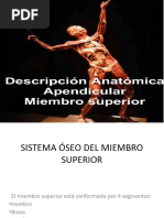 Miembsuperior 230603 115941