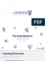 Kin2222 - Axial Skeleton