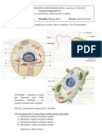 2.1. - Ficha de Trabalho Nº1