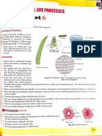 Biology Practical File Work