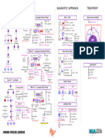 Hematology Pathology - 006) Chronic Myeloid Leukemia (CML) (Illustrations - Key)