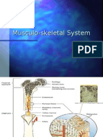 Musculoskeletal