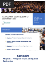 Management Des Risques RH