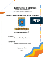 PDF - Informe de Práctica Embriología N.º 02