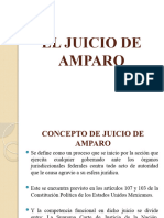 El Juicio de Amparo