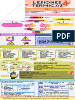 Lesiones Termicas Infografia