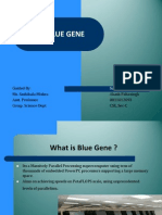 IBM Blue Gene Supercomputer