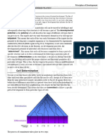 Cell Determination and Differentiation