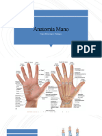 Anatomía Mano TEMA 9