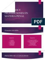 Prinipios y Prohibiciones en Materia Penal Clase 5