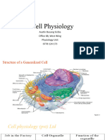 Cell Lecture 3