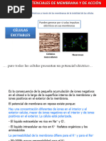 Tema 2. Potenciales de Membrana