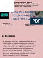 Practica de Toxoplasmosis