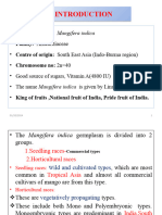 Mango Breeding