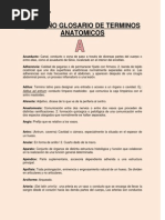 Glosario de Anatomia