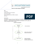 Progiciels de Gestion Integrés (PGI/ERP)