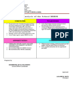 Swot Analysis DRRM