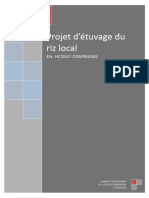 Projet D'étuvatge Du Riz Local