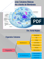 Unidad I. F - Modo de Compatibilidad (Autoguardado)