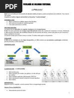 Modulo 2 - Traumatologia