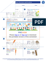 Worksheet Science Grade 4 Plant Structure and Function 1 0