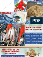 Aprovechamiento de Residuos de Pescado Dgavc 17.01.2024