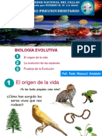 R.1.1 Origen de La Vida, Evolución