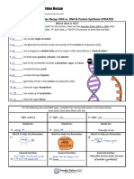 Chenqi Liu - 11 - DNA Vs RNA and Protein Synthesis - Amoeba Sisters - SHO