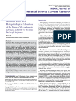 Oxidative Stress and Histopathological Alteration of The Liver of Oreochromis Niloticus Induced by Sodium Dodecyl Sulphate