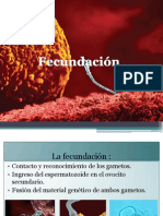 Etapas de La Fecundacion