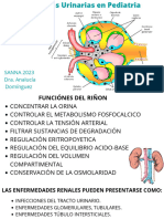 Clase Renal