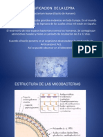 Clasificacion de La Lepra