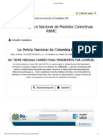 Consulta RNMC Medidas Correctivas