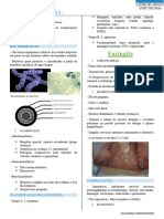 Sa - Infecto - Aula 3 - Estrepcoccias