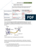 Muscle Tissue (Part 2) : Rate of Contraction