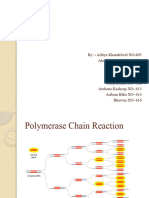 PCR Technique