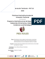 Formato PAT Implementacion Meliponas Calotmul 2