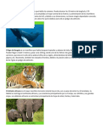 Animales 02-06-2023