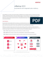 DS Netbackup V1512