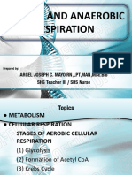 Aerobic and Anaerobic Respiration