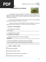 11 Lecturas para Estudiar La Comprensión Lectora en 1 Eso