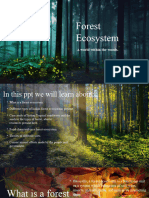 Forest Ecosystem