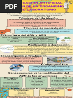 Colorful Illustrative DNA Day Science Educational Infographic - 20231204 - 095946 - 0000