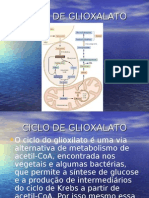 4H-Ciclo de Glioxalato