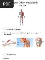 9th Grade - Locomotor System