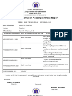 Individual Workweek Accomplishment Report