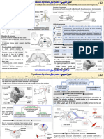 Le Systeme Nerveux Resume de Cours Ma