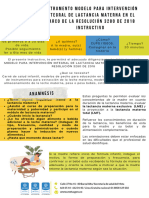 Instrumento e Instructivo Consulta L.M Res 3280 de 2018