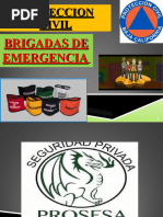 Proteccion Civil Brigadas Prosesa